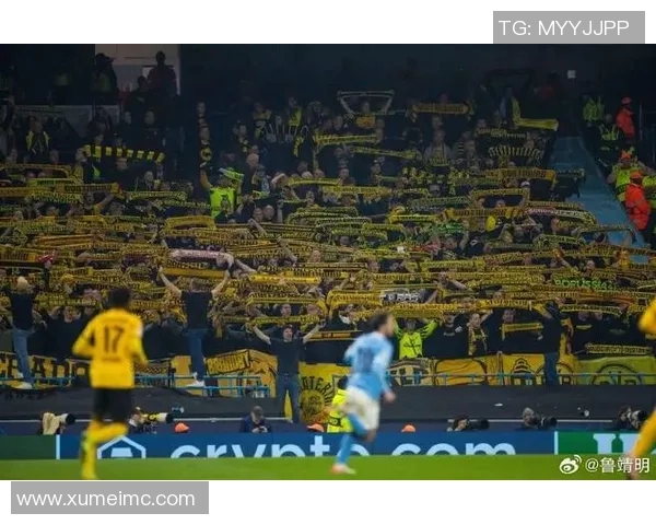 意甲激战：多特蒙德逆转那不勒斯全场沸腾精彩瞬间回顾