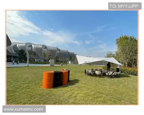 飞盘配合技巧全解析从基础到进阶的全面指南 飞盘配合技巧全解析从基础到进阶的全面指南